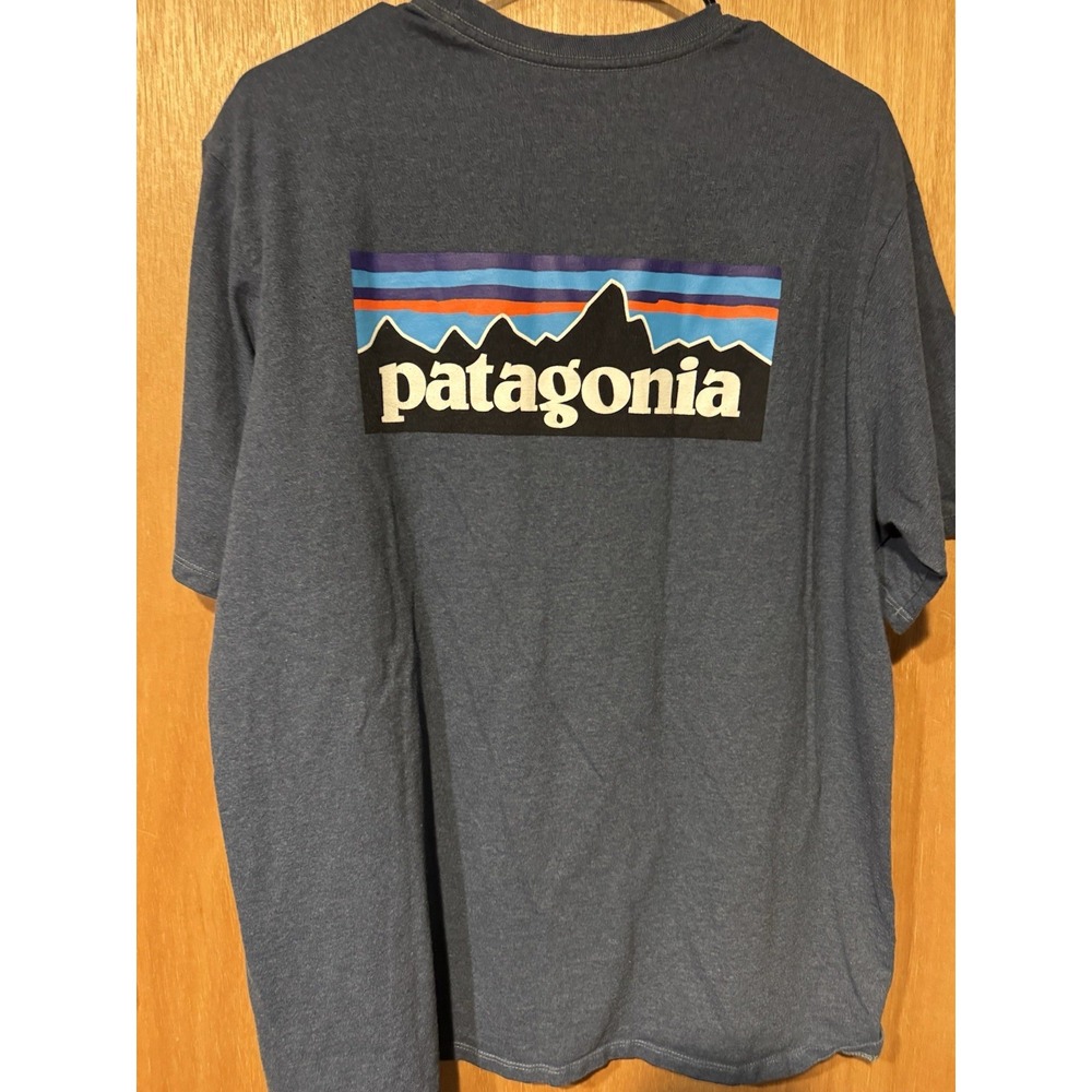 Patagonia Size Large Grey Tee Shirt (F1)